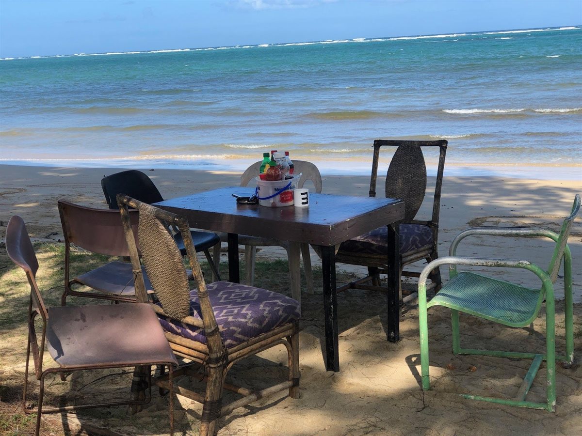 Shrimp Shack
